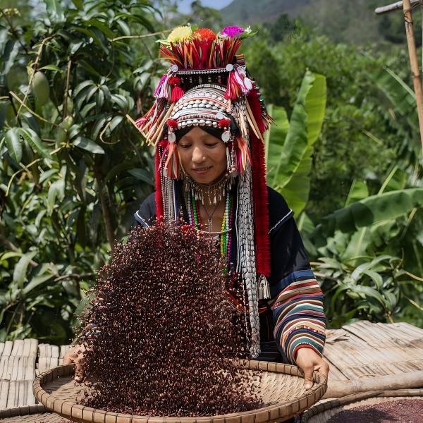 Ethnic Minority Travel, Where Living Cultures Await agricalture tour
